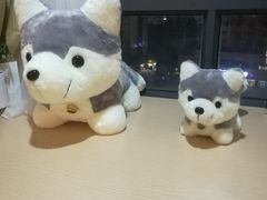 -Husky Go! 哈士奇体验馆·宠物咖啡厅狗咖