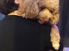 -严国平动物医院(德政总院)