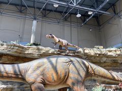 -国家自然博物馆