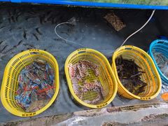 -鸿港海鲜批发市场