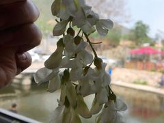 -碓臼峪自然风景区