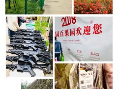 -菊园百果园