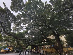 -东西巷