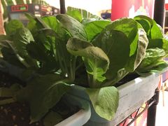 -山里人湘菜·山茶油炒土鸡(嘉邻中心店)