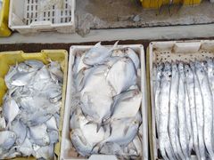 -江杨农产品批发市场