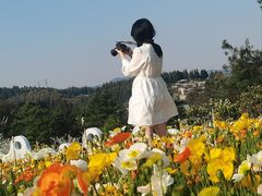 -名花谷生态庄园