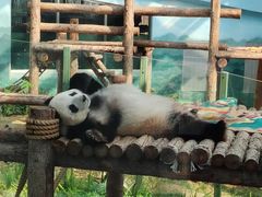 -大连森林动物园