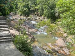 -广州白江湖森林公园