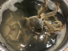 -星伦多海鲜自助餐厅(徐州铜山万达店)