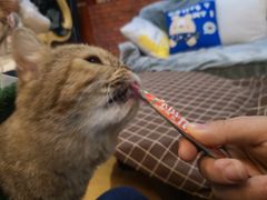 -万小咖.猫咖(中山路天虹店)