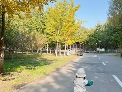 -长白岛森林公园