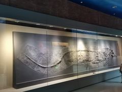 -安徽省地质博物馆