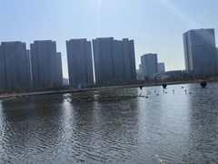 -金沙湖公园
