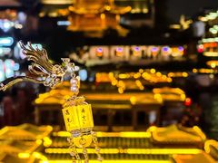 -狮王府淮扬菜(夫子庙老门东店)
