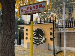 -三里屯东五街银杏大道