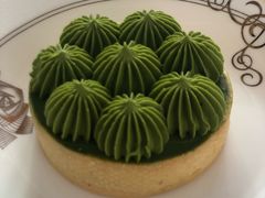 抹茶挞-猫里有甜