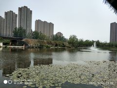 -前关湿地公园