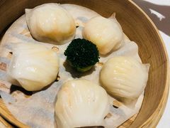 -金悦轩海鲜城(渔人码头店)