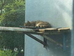 -青藏高原野生动物园