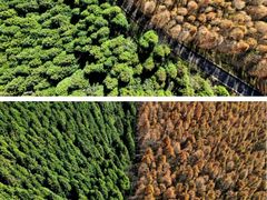 -山王坪喀斯特国家生态公园