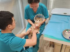 -美迦爱-牙专科·兔科·骨科诊疗中心(北苑店)