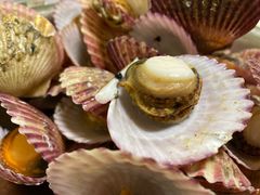 -宾朋海鲜美食餐厅·特色美食(兴海路店)