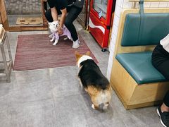 -老四川平头酸菜鱼(衙前店)