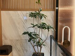 -苏州观前街亚朵酒店