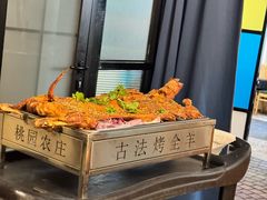-桃园农庄烤全羊(江秋路店)