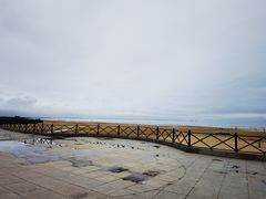 -日照海滨国家森林公园
