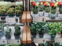 -鹿岛生活(熙地港店)