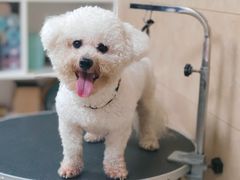 -佳雯宠物医院·皮肤科·内外科(春晓路分院)