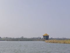 -宁波杭州湾国家湿地公园