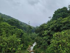 -云溪植物园