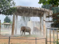 -石家庄市动物园