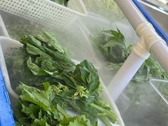 -宣威年猪饭·二十年云南家常菜·特色小炒肉·春季鲜花野菜上新(尚邻雅苑店)