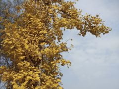 -白鹭湾湿地公园