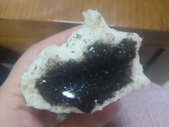 黑芝麻包-老陶包子铺(南大西南村店)