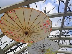 -苏州上方山国家森林公园