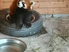 -武汉紫薇都市田园