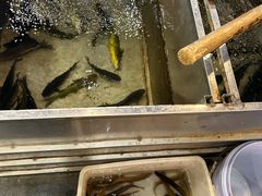 -铁锅炖灶台鱼老三炖鱼馆