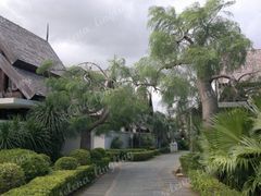 别墅区-三亚亚龙湾铂尔曼别墅度假酒店