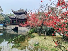 -棠湖公园