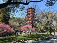 -衢州市博物馆