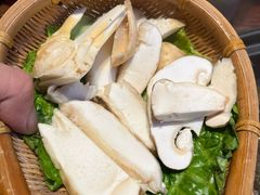 -滇野云南野生菌餐厅(陕西南路店)