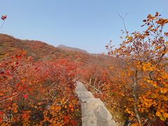 -周口店坡峰岭风景区