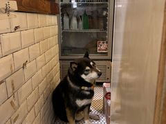 -大水的店(昙华林店)