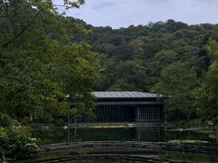 -云溪植物园