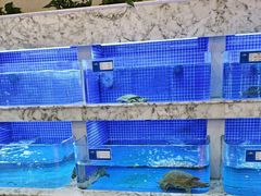 -香山湖渔家大院