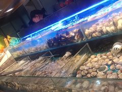 -苏格里岛·自助烤肉·火锅海鲜(金鼎广场店)